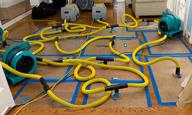 Professional Burst Pipe Water Damage technician working in Bloomingdale, IL